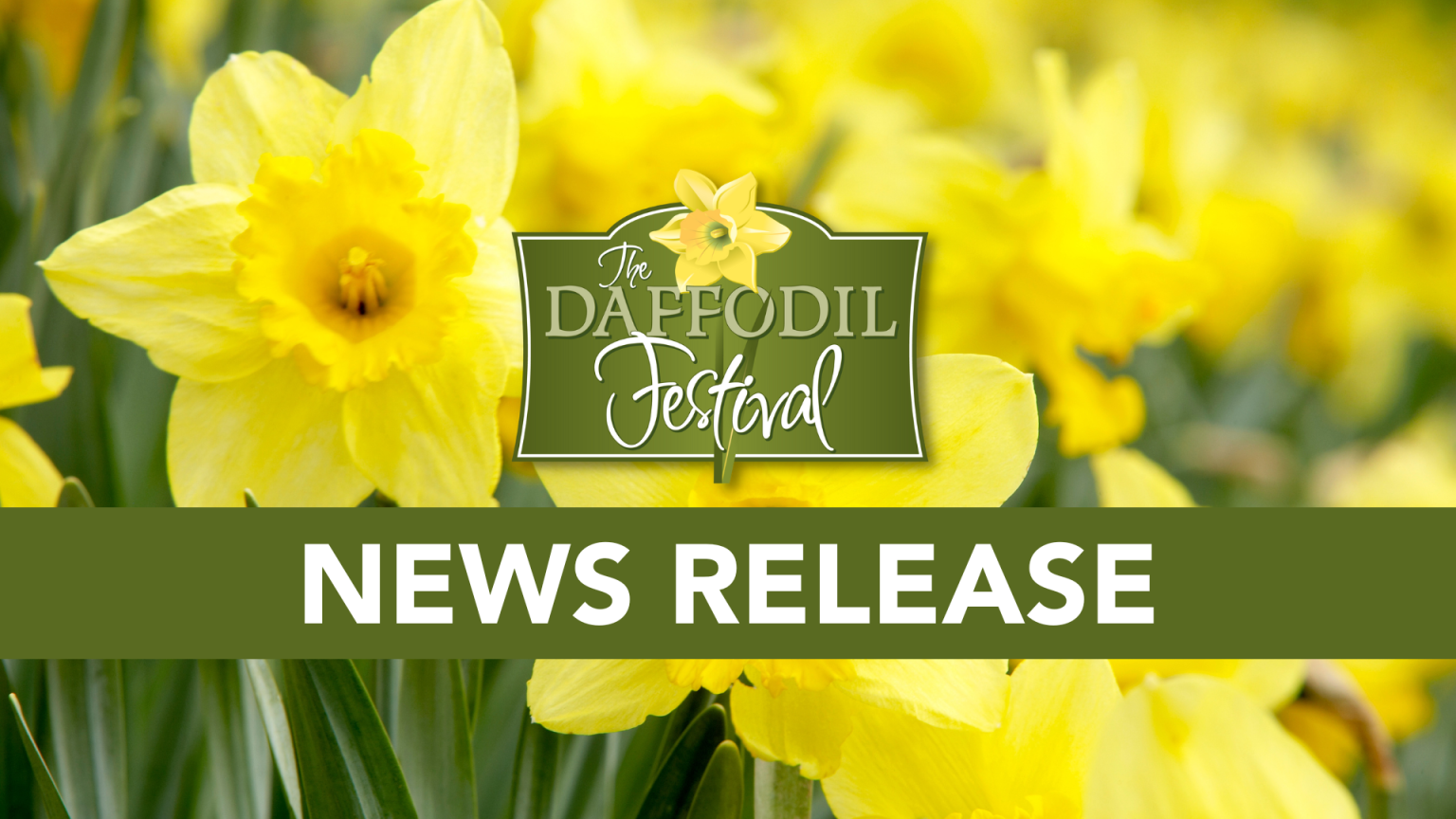 Daffodil Festival Announces 2023 Theme, Parade and Royalty Selection