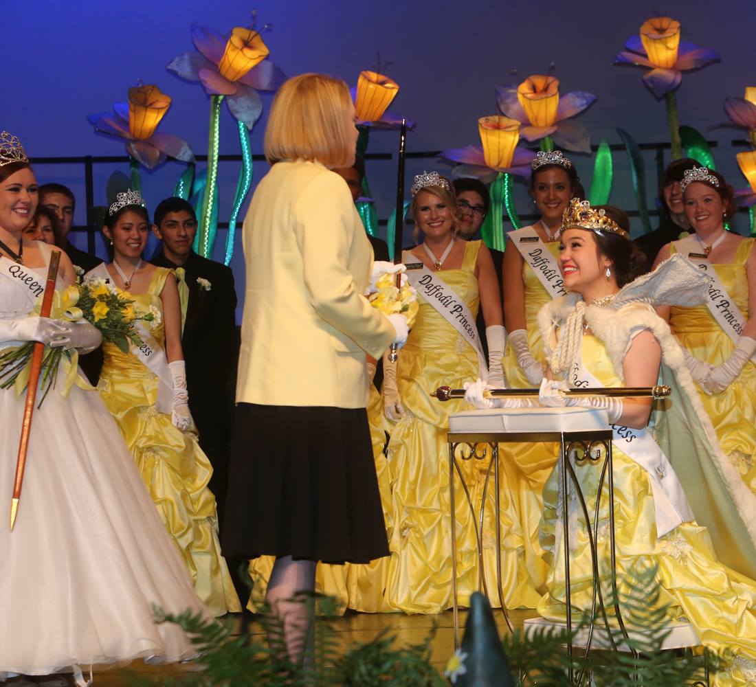 Before We Crown a Queen the Road to Coronation 2023 The Daffodil